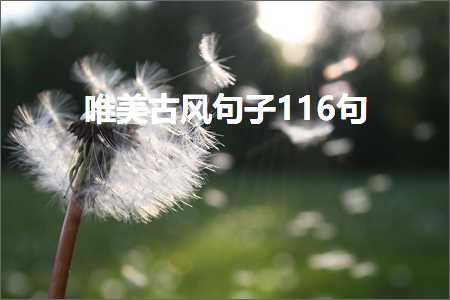 唯美古风句子116句（文案133条）